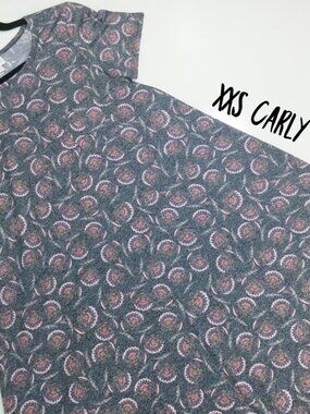 LuLaRoe Carly Swing Dress